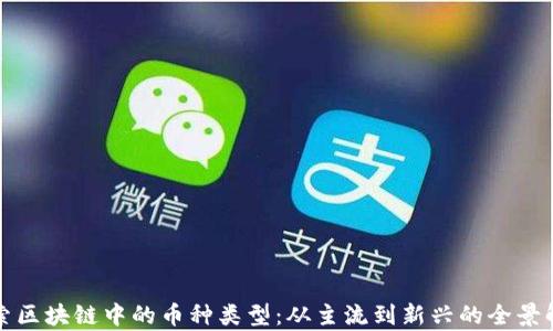 
探索区块链中的币种类型：从主流到新兴的全景解析