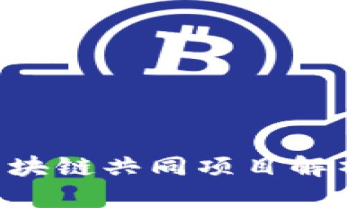 2023年最值得关注的区块链共同项目解析：创新、挑战与未来趋势