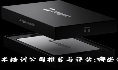 区块链技术培训公司推荐与评估：哪些值得选择？